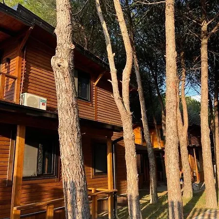 Mikpritja 2 Villa Velipoje